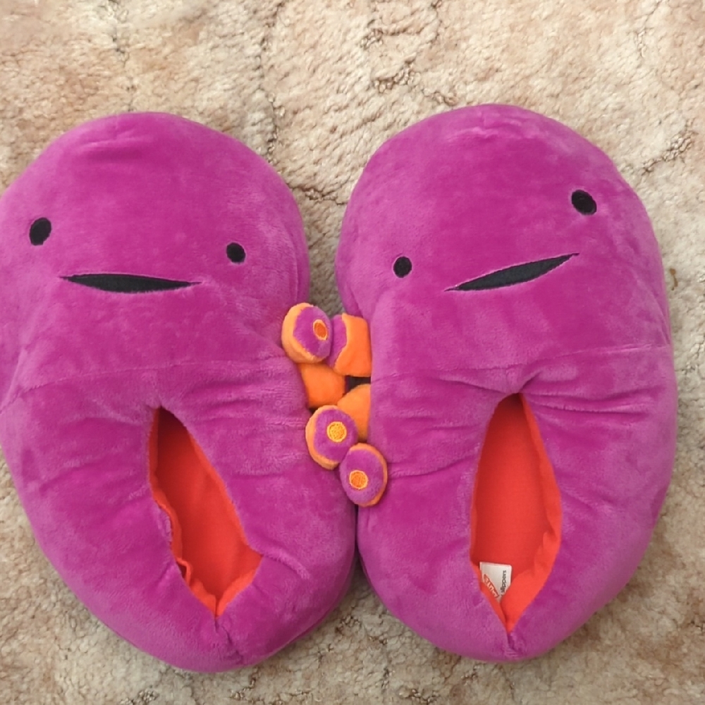 Kidney slippers